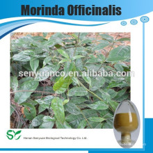 100% Natural Medicinal Indian Mulberry Root Extract/Radix Morindae Officinalis